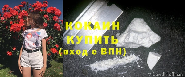 кокаин колумбия Новозыбков