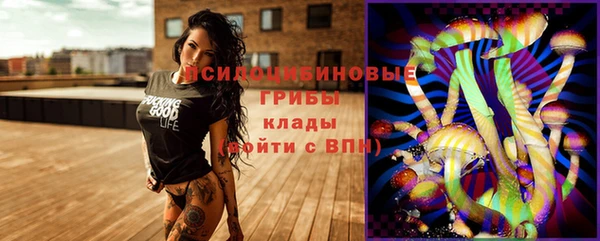мяу мяу мука Новодвинск