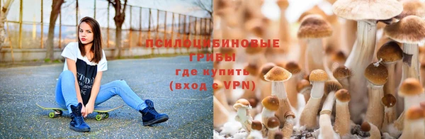 мяу мяу мука Новодвинск