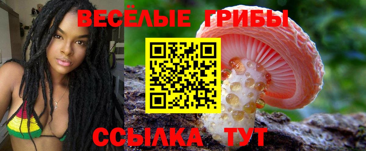 Псилоцибиновые грибы Magic Shrooms  Вход с VPN  Югорск 